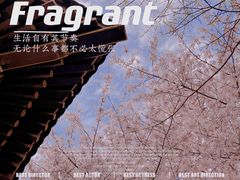 -西安青龙寺遗址景区