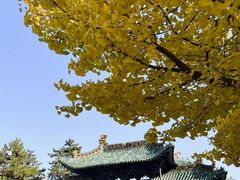 -晋祠公园