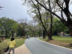 -人民公园(罗湖区)