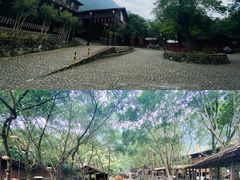 -天门沟九州驿站树上汤泉