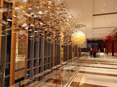 大堂-视界美食自助餐厅·石家庄希尔顿酒店