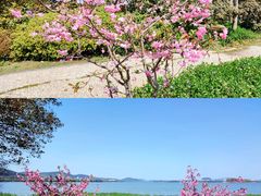 -长广溪湿地公园