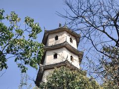 -江心屿景区