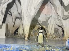 -太平洋海底世界