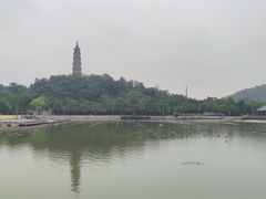 -顺峰山公园