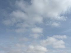 -春花秋色城市公园