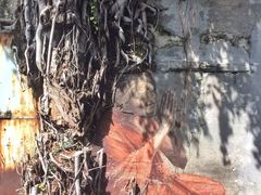 -槟城街头艺术街区