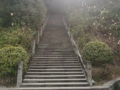 -铁山坪森林公园