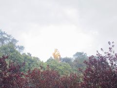 -大金鹰园
