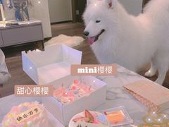 -壹点壹客·生日蛋糕(南山店)