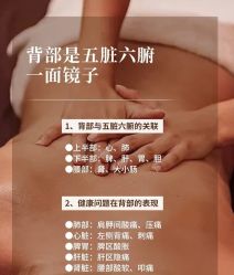 -YESIDO椰岛美容