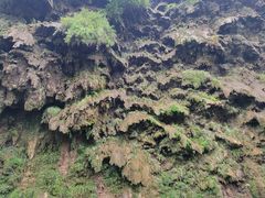 -马岭河峡谷风景区