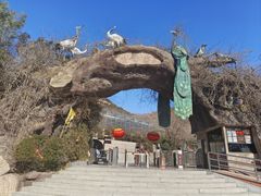 -石老人观光园