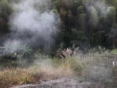 -天芳悦潭度假村温泉