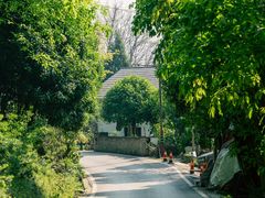 -南山植物园