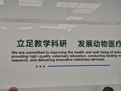 -中国农业大学动物医院
