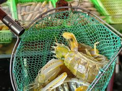 -凯华海鲜火锅·传承三十六年