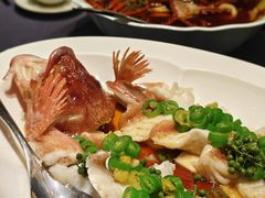 -翠府(翠湖北路店)