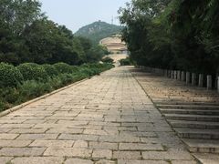 景点-府君山公园