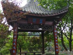 -重庆彩云湖湿地公园