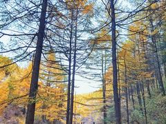 -苏木山森林公园