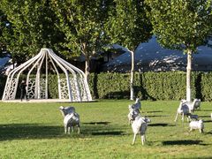 -九十九顶毡房(阜石路店)