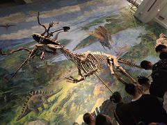 -自贡恐龙博物馆