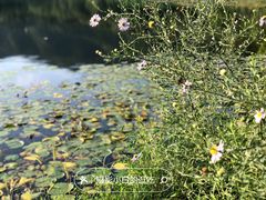 -国家植物园