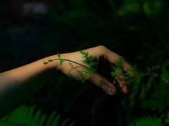 -国家植物园南园