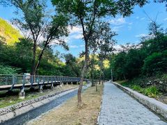 -白水寺森林公园