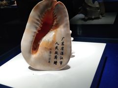 -贝壳王国博物馆