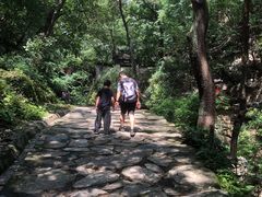 -北京上方山国家森林公园