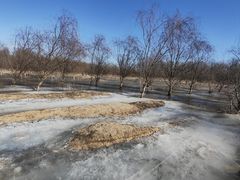 -永定河休闲森林公园