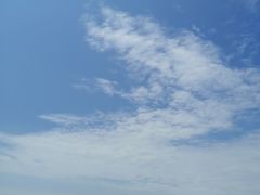 -合家小菜餐馆(新诚花苑店)