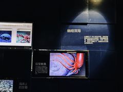 -同济大学四平路校区深海探索馆
