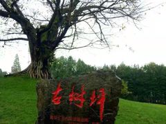 -邓小平故里