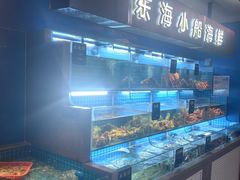 -鸽子侯·家宴·平价海鲜(市图书馆店)