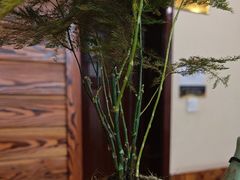 -竹雀古法采耳(青岛麦凯乐店)