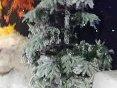 -中山公园儿童游乐场