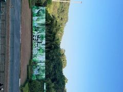 -深圳野生动物园