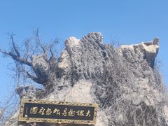 -大槐树寻根祭祖园