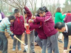 -金陵中学(河西分校)