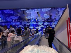 -盒马X会员店(上海森兰商都店)