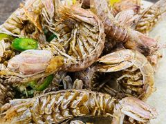 椒盐濑尿虾-贞姨美食·老字号海鲜大排档
