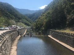 -牛背梁国家森林公园