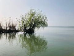 -东方绿舟景区