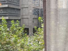 -上海小南国(不夜城店)