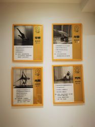 -凡瑜伽·普拉提