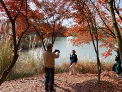 -梁鸿国家湿地公园