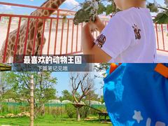 -泉城欧乐堡水上世界